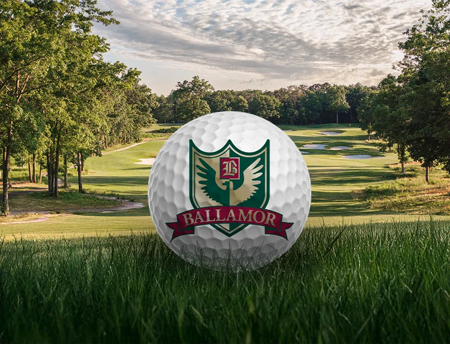 BAL0343-November-Website-Content-Management_Web_915x700